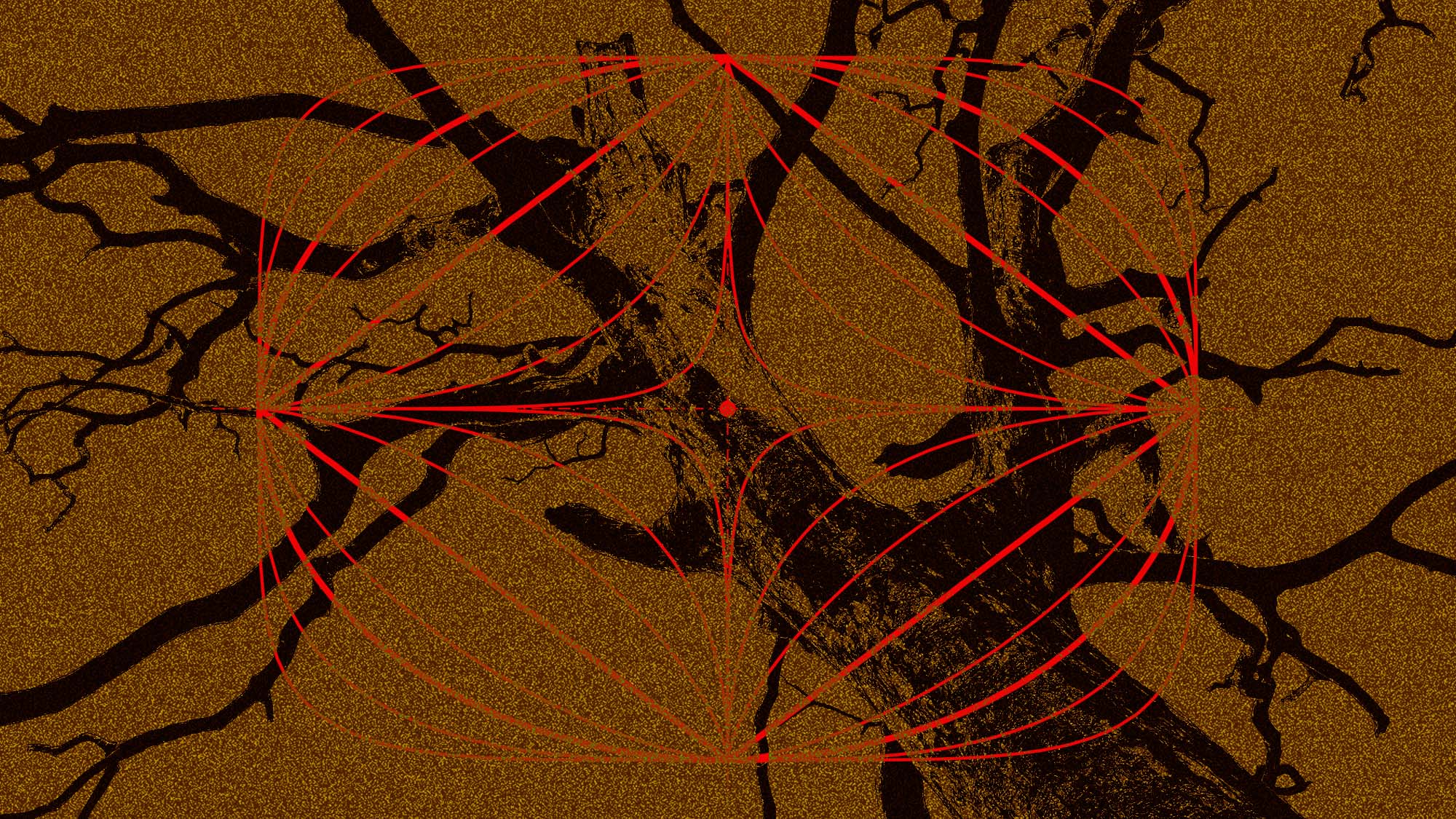 A montage of a dead tree and a "scientific" drawing superimposed on top of it.