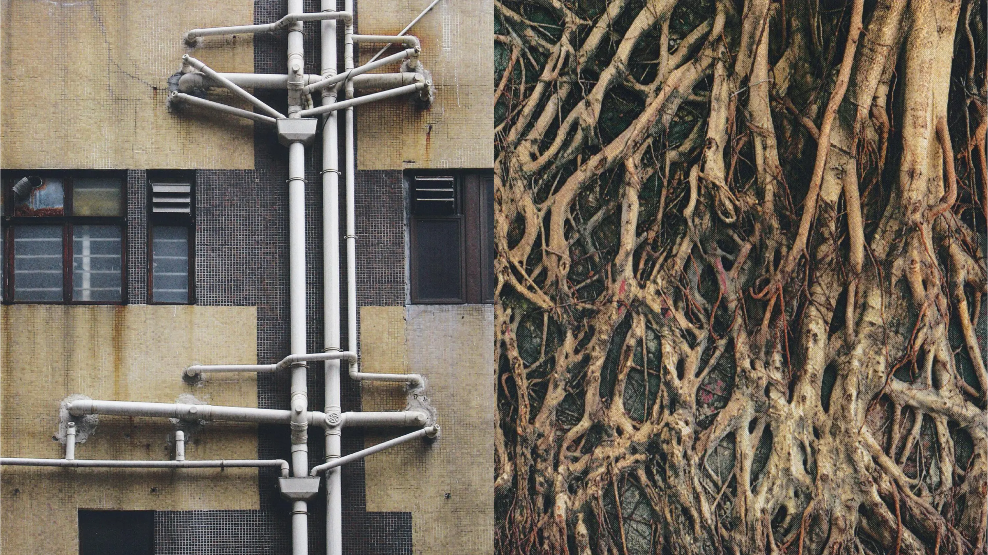 A diptych of to similar images: roots and drainage pipes.